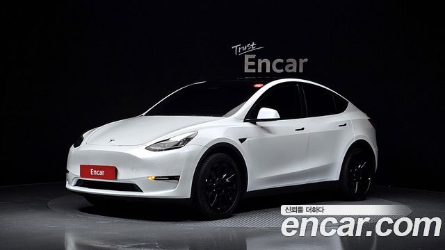 Tesla Model Y Long Range AWD — пробег 49 558 км — фото 1 из 5