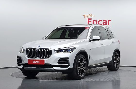 BMW X5 xDrive 40i xLine — пробег 52 024 км — фото 1 из 5