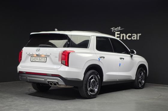 Hyundai Palisade Diesel 2.2 4WD Exclusive — пробег 49 430 км — фото 2 из 5