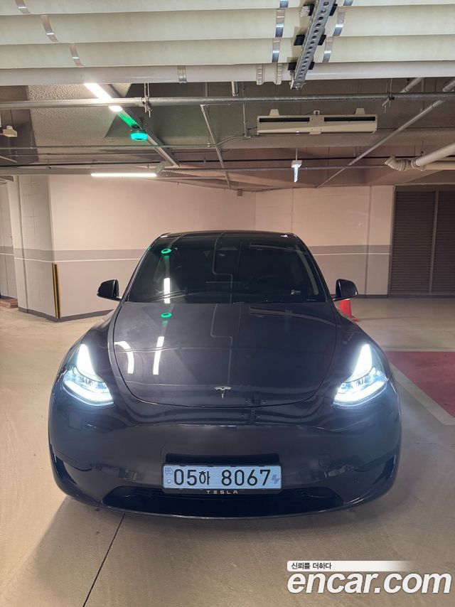 Tesla Model Y RWD — пробег 33 000 км — фото 1 из 5