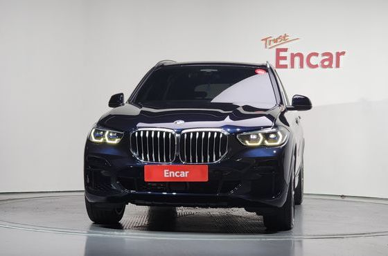 BMW X5 xDrive 40i M Sport — пробег 133 311 км — фото 3 из 5