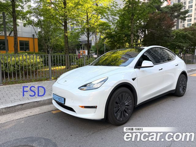 Tesla Model Y Long Range AWD — пробег 50 273 км — фото 1 из 5