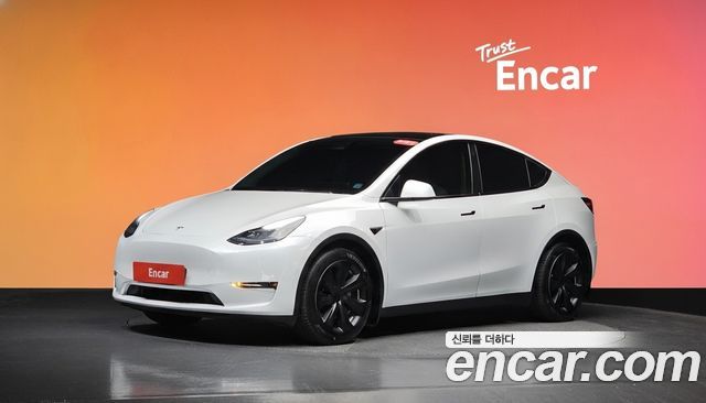 Tesla Model Y Long Range AWD — пробег 119 098 км — фото 1 из 5