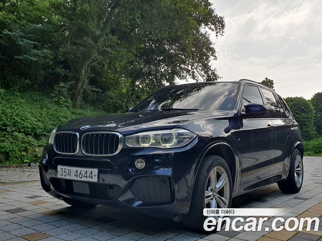 BMW X5 xDrive 30d M Sport package — пробег 274 215 км — фото 1 из 5
