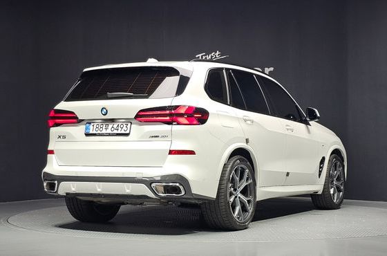 BMW X5 xDrive 40i M Sport — пробег 4 595 км — фото 2 из 5