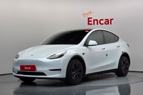 Tesla Model Y Long Range AWD — пробег 46 308 км — фото 1 из 5