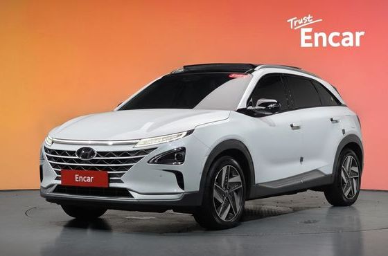Hyundai Nexo Premium — пробег 50 008 км — фото 1 из 5