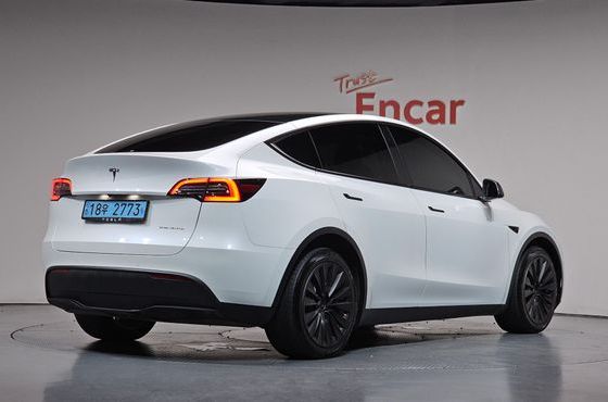 Tesla Model Y Long Range AWD — пробег 60 476 км — фото 2 из 5