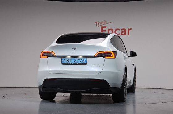 Tesla Model Y Long Range AWD — пробег 60 476 км — фото 4 из 5