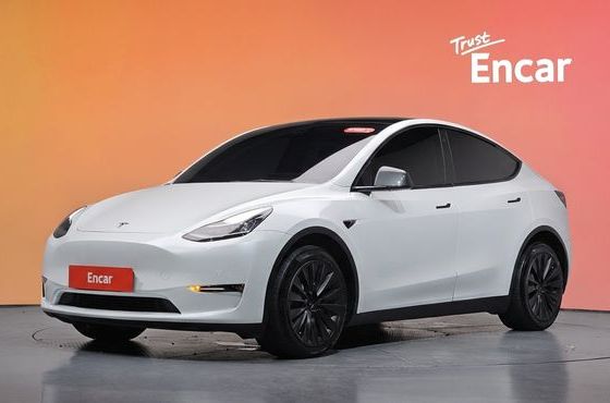 Tesla Model Y Long Range AWD — пробег 60 476 км — фото 1 из 5