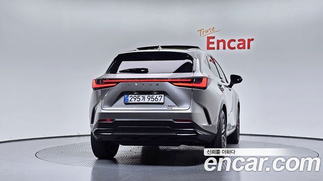 Lexus NX Luxury — пробег 7 825 км — фото 4 из 5
