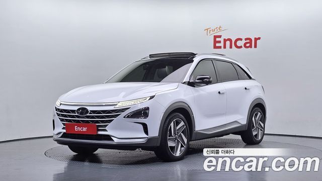 Hyundai Nexo Premium — пробег 74 196 км — фото 1 из 5