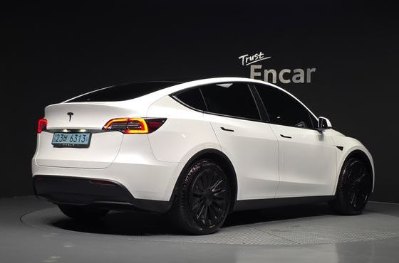 Tesla Model Y Standard Range RWD — пробег 120 709 км — фото 2 из 5
