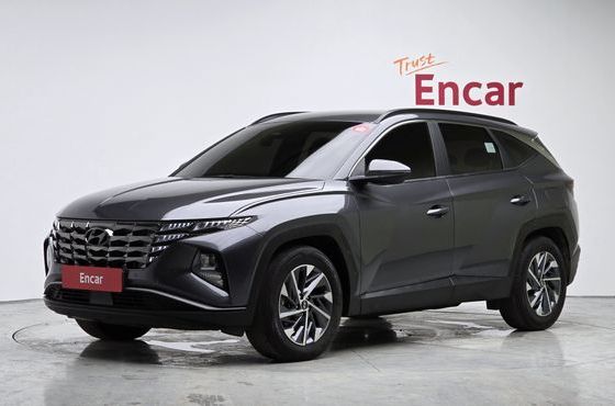 Hyundai Tucson Diesel 2.0 4WD Premium — пробег 49 060 км — фото 1 из 5