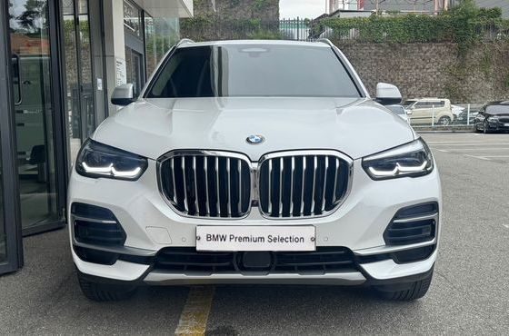 BMW X5 xDrive 30d xLine — пробег 71 747 км — фото 3 из 5