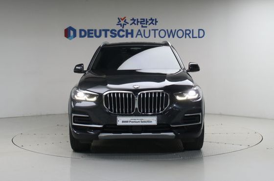 BMW X5 xDrive 30d xLine — пробег 117 047 км — фото 3 из 5