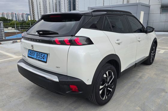 Peugeot 2008 EV GT — пробег 25 000 км — фото 5 из 5