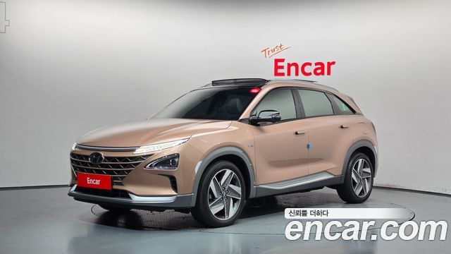 Hyundai Nexo Premium — пробег 73 203 км — фото 1 из 5