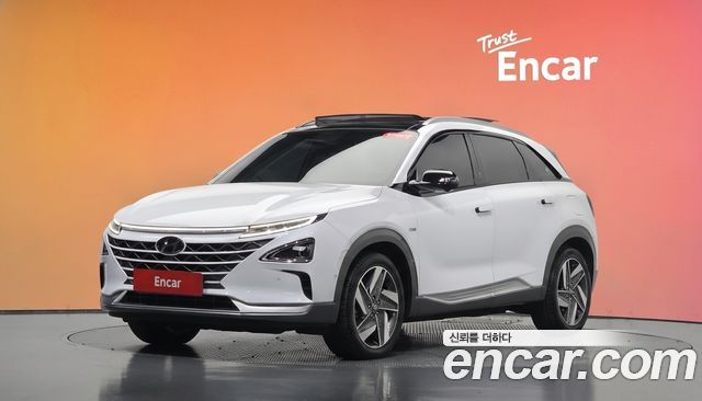 Hyundai Nexo Premium — пробег 95 191 км — фото 1 из 5