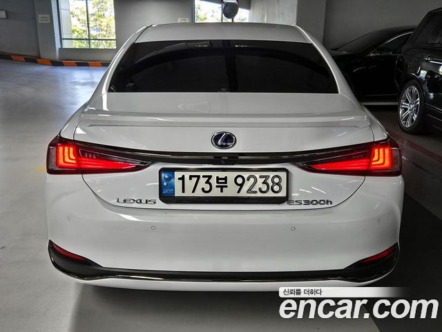 Lexus ES F-Sport — пробег 37 160 км — фото 4 из 5