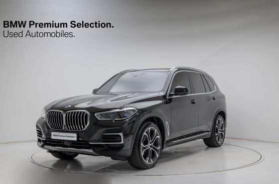 BMW X5 xDrive 40i xLine — пробег 80 750 км — фото 1 из 5