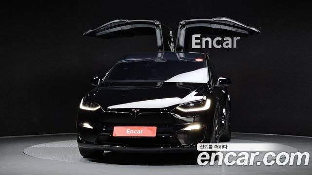 Tesla Model X Long Range — пробег 81 228 км — фото 3 из 5