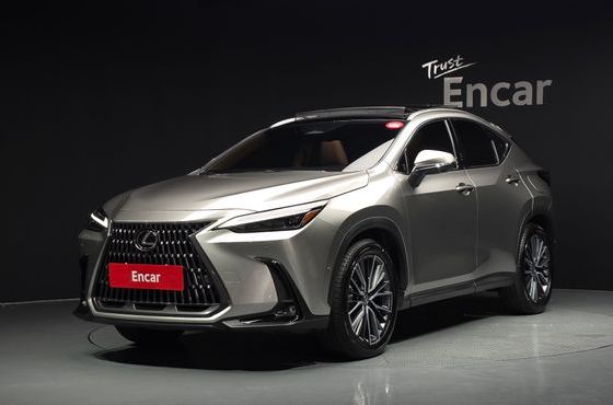 Lexus NX Luxury — пробег 11 816 км — фото 1 из 5