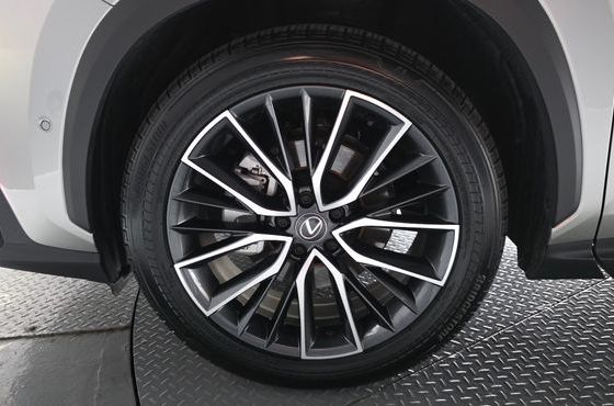 Lexus NX Luxury — пробег 11 816 км — фото 5 из 5