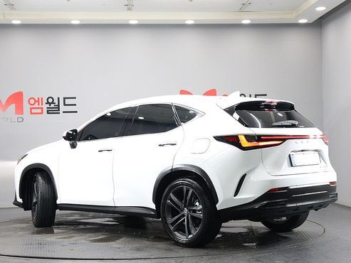 Lexus NX Premium — пробег 6 262 км — фото 4 из 5
