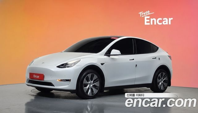 Tesla Model Y Long Range AWD — пробег 61 594 км — фото 1 из 5