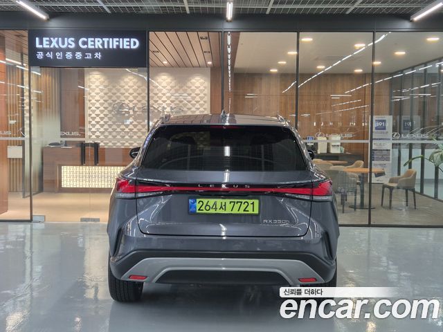 Lexus RX Luxury — пробег 7 381 км — фото 4 из 5