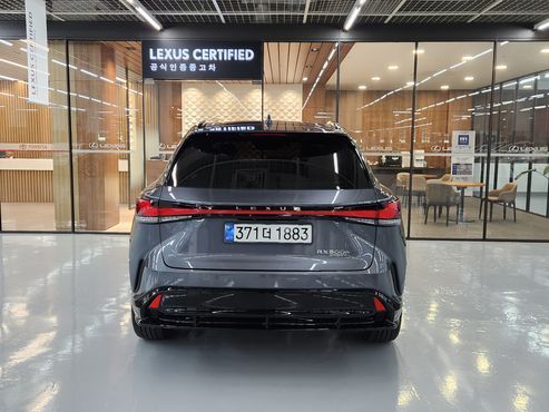 Lexus RX F-Sport — пробег 21 144 км — фото 4 из 5