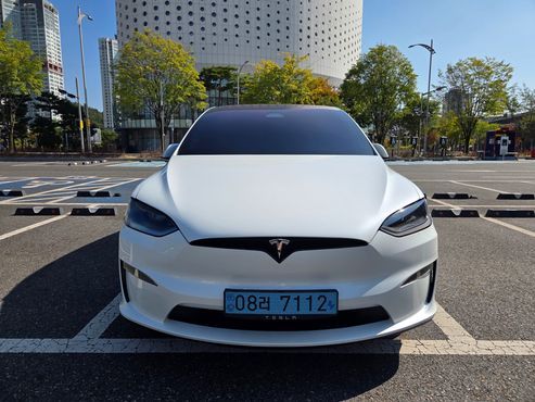 Tesla Model X AWD — пробег 65 500 км — фото 3 из 5