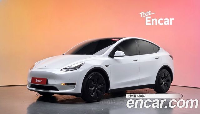 Tesla Model Y Long Range AWD — пробег 114 573 км — фото 1 из 5