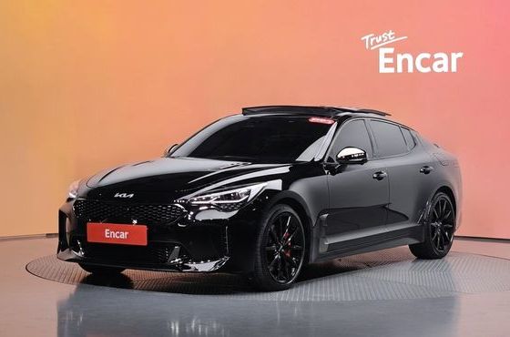 Kia Stinger 2.5 AWD Masters — пробег 80 250 км — фото 1 из 5