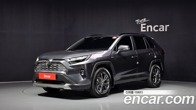 Toyota RAV4 2,5 4WD Hybrid LTD — пробег 25 409 км — фото 1 из 5