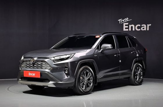 Toyota RAV4 2,5 4WD Hybrid LTD — пробег 25 409 км — фото 1 из 5