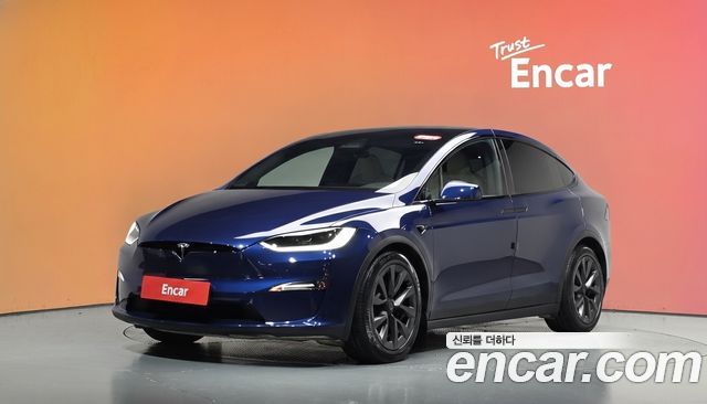Tesla Model X Long Range — пробег 39 049 км — фото 1 из 5