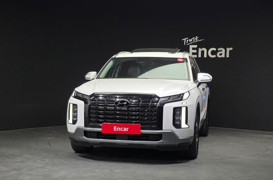 Hyundai Palisade Diesel 2.2 4WD Exclusive — пробег 56 284 км — фото 3 из 5