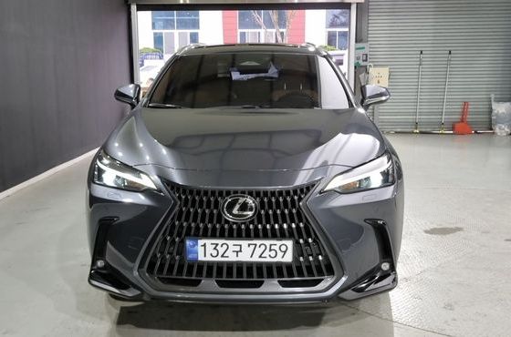 Lexus NX Premium — пробег 53 000 км — фото 1 из 5