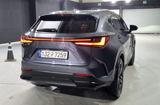 Lexus NX Premium — пробег 53 000 км — фото 3 из 5