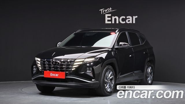 Hyundai Tucson Gasoline 1.6 Turbo 4WD Premium — пробег 42 518 км — фото 1 из 5