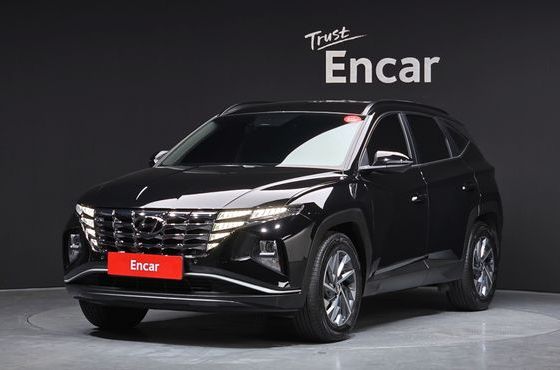 Hyundai Tucson Gasoline 1.6 Turbo 4WD Premium — пробег 42 518 км — фото 1 из 5