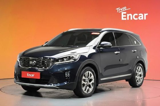 Kia Sorento Gasoline 2.0 Turbo 2WD Master Special — пробег 49 461 км — фото 1 из 5