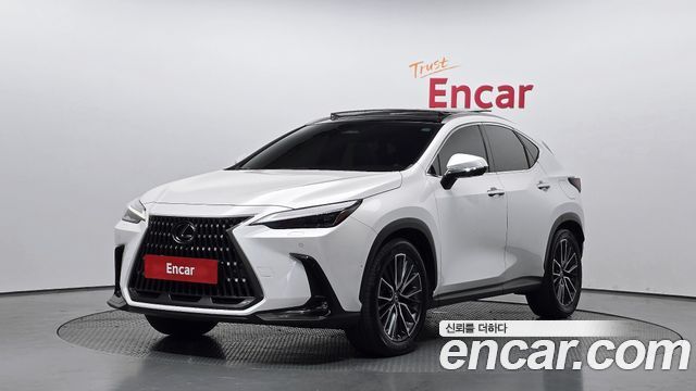 Lexus NX Luxury — пробег 109 855 км — фото 1 из 5
