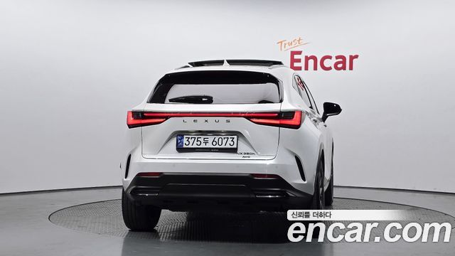 Lexus NX Luxury — пробег 109 855 км — фото 4 из 5