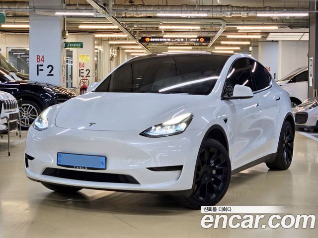 Tesla Model Y RWD — пробег 29 823 км — фото 1 из 5