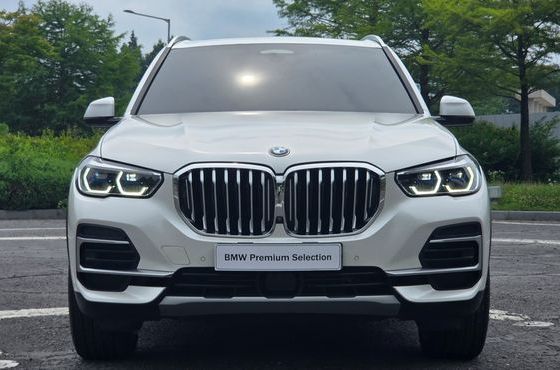 BMW X5 xDrive 40i xLine — пробег 59 754 км — фото 3 из 5