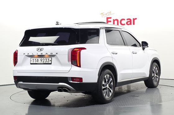 Hyundai Palisade Diesel 2.2 2WD Exclusive — пробег 103 864 км — фото 2 из 5