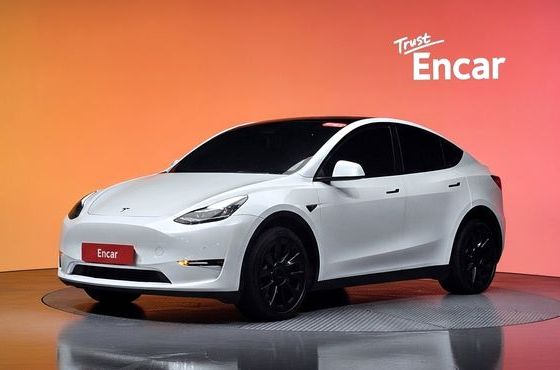Tesla Model Y Long Range AWD — пробег 95 383 км — фото 1 из 5